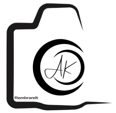 cropped rembrandt logo 2.png